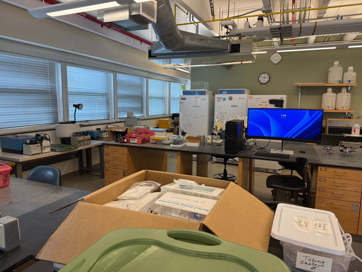 MblNeuro's tweet photo. https://t.co/8NQPRGJjsR