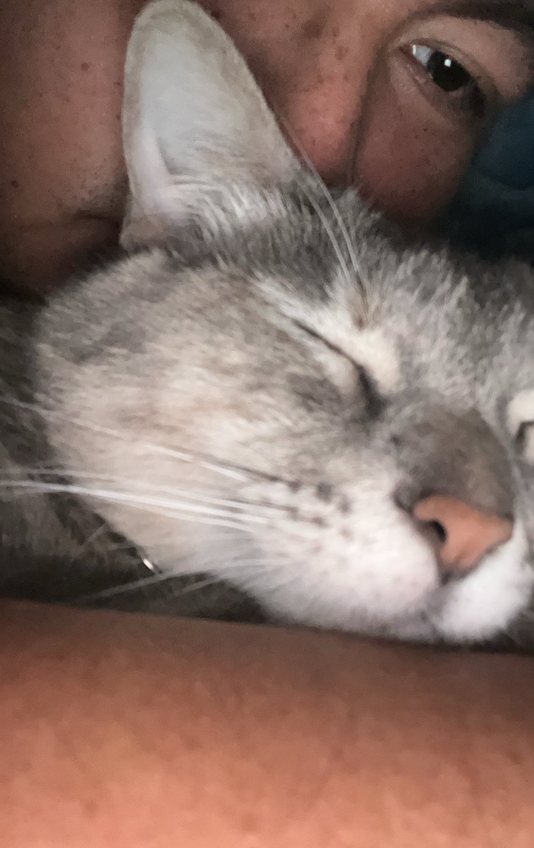 JaviAlejandroM's tweet photo. 🥰🥰🥰🥰 https://t.co/hSjxlmiNJ6