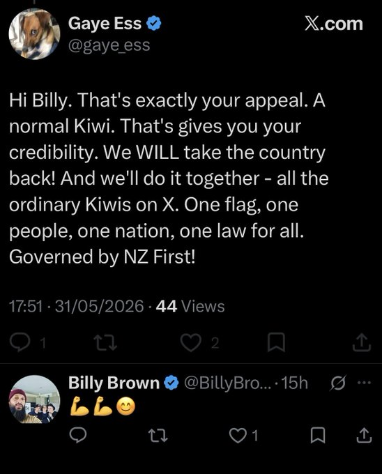 The New Zealand Rocketeer tweet media
