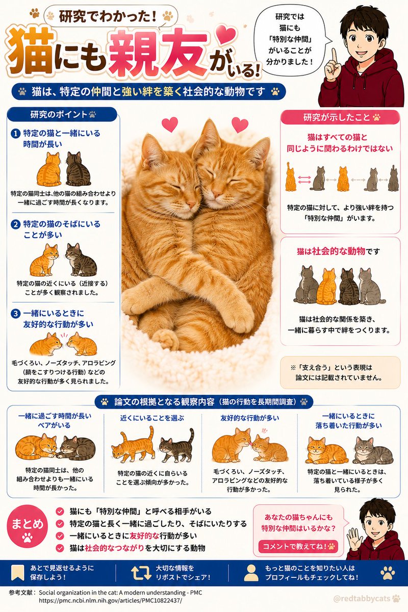 redtabbycats's tweet photo. 😺猫にも親友がいるかも？💞

研究では猫は全員と同じ距離感で接するわけではなく、特定の相手と強い絆を築くことが分かっています🐾

保存して愛猫の関係をチェックしてみてね✨

あなたの猫にいつも一緒にいる相手はいますか？😸 https://t.co/a8GlwKLodp