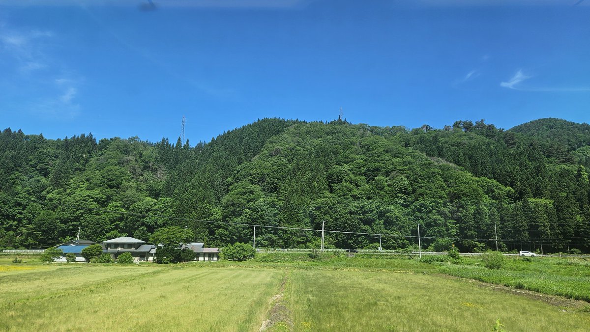 phakchirm's tweet photo. 母入院の報を受けこまち号なうなのですが、最寄りで降りてから病院まで歩ける距離と思ってたら、叔母と弟から熊が出るかもしれないからタクシーにしろと言われ急に現実味を帯びて怖くなってる😨 https://t.co/QM27dfraqG
