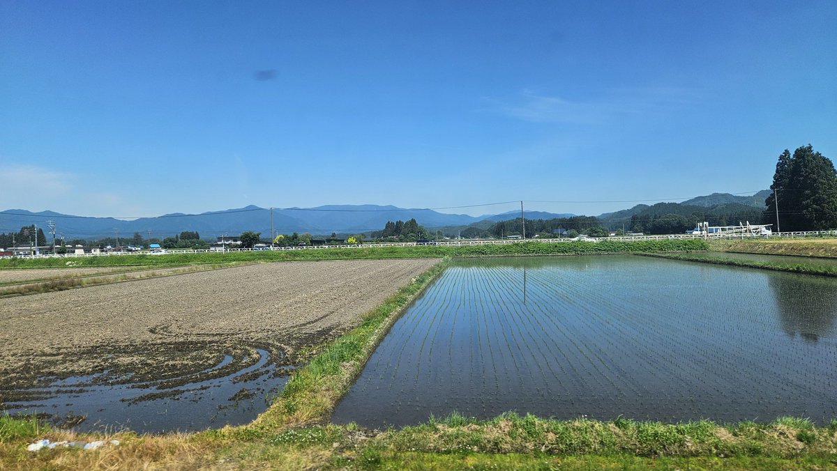 phakchirm's tweet photo. 母入院の報を受けこまち号なうなのですが、最寄りで降りてから病院まで歩ける距離と思ってたら、叔母と弟から熊が出るかもしれないからタクシーにしろと言われ急に現実味を帯びて怖くなってる😨 https://t.co/QM27dfraqG