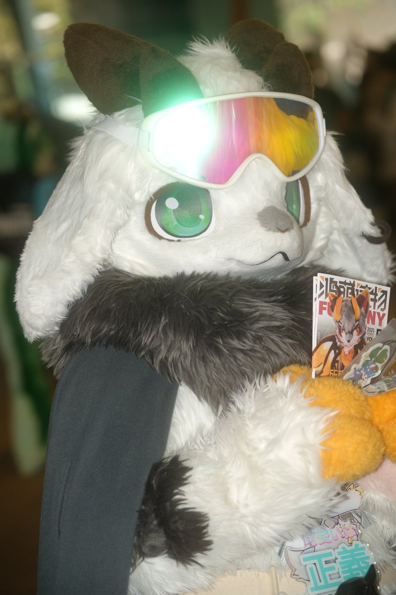 hou_hothomas's tweet photo. RT @Justice_fur: ファーモンリ買って~
📸:@hou_hothomas
#ケモノをみて今週もがんばりマンデー
#furmony 
#FurryTeaParty2026 https://t.co/qZDIqCnQ5P