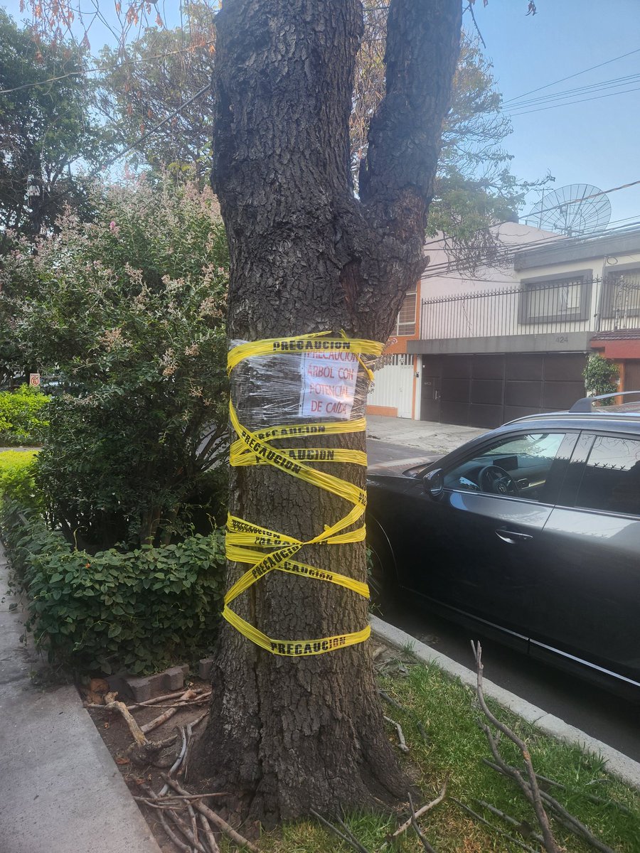 CAVILO_'s tweet photo. #AVISO #PELIGRO @BJAlcaldia @SGIRPC_CDMX. Árbol muerto a punto de caer. El tronco ya está rajado
Tajin 425 entre eugenia y concepción beistegui https://t.co/IqRw5bhTVE
