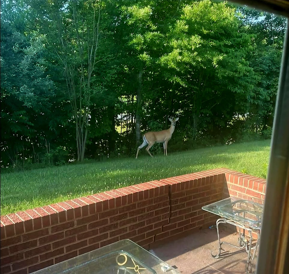 DrewRobertsLive's tweet photo. @citizensdawn Out my window https://t.co/Y9G80jzW2m