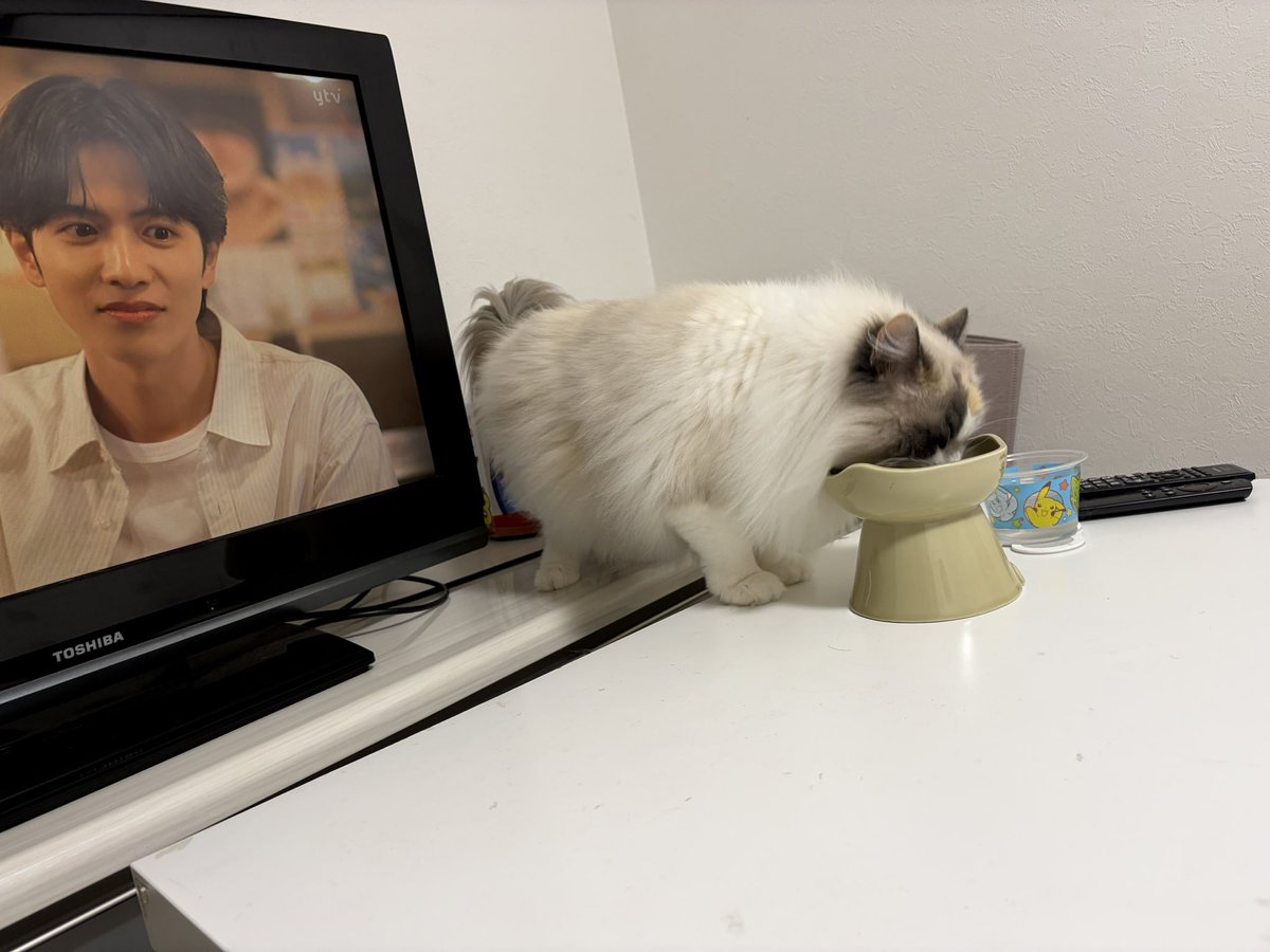 akubi__neko's tweet photo. 最近ハマってる食べ方だそうです https://t.co/sZxloHMlxw