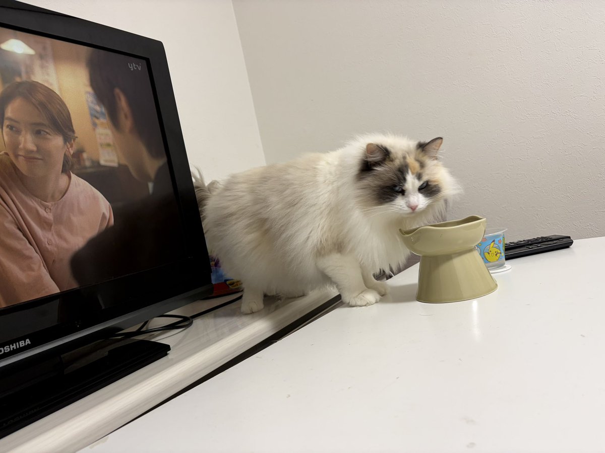 akubi__neko's tweet photo. 最近ハマってる食べ方だそうです https://t.co/sZxloHMlxw