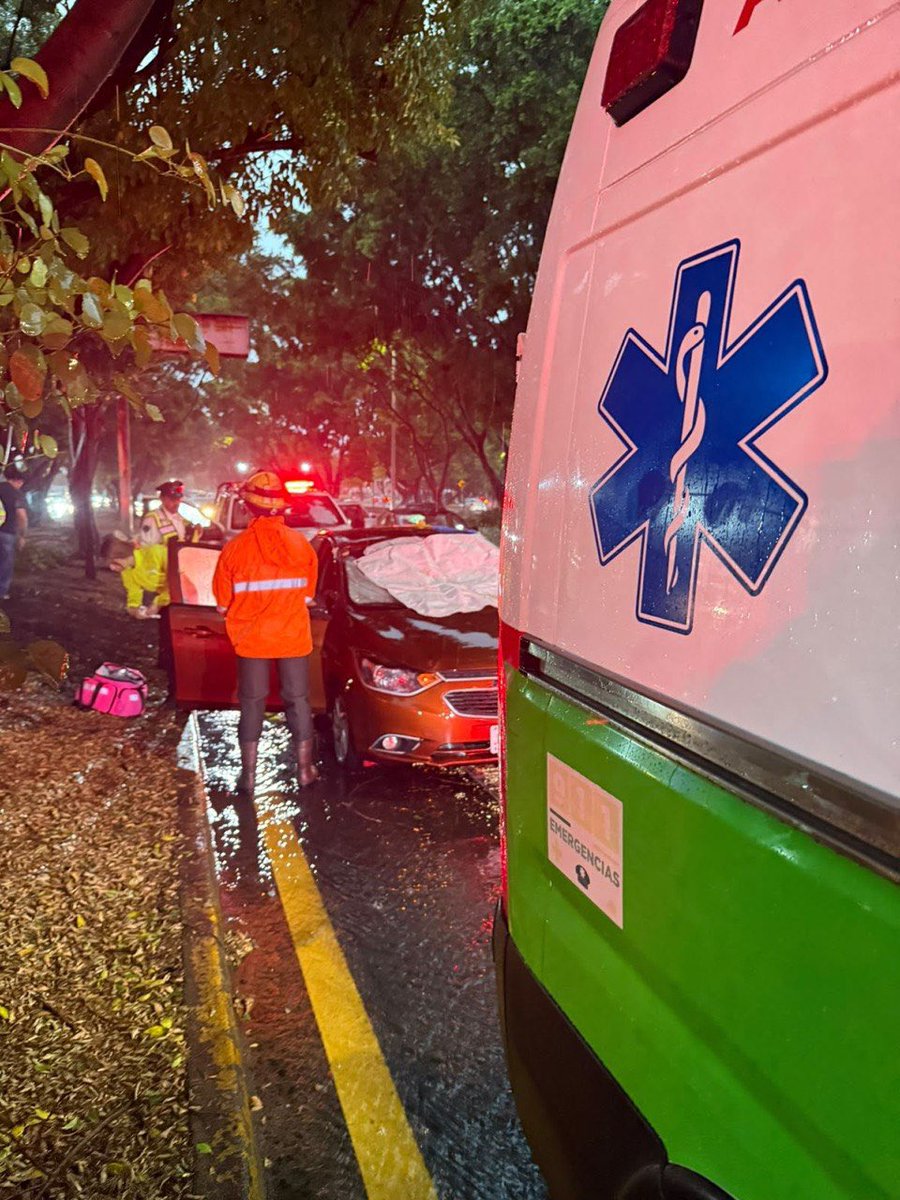 GuadalajaraGob's tweet photo. Equipos de nuestro Gobierno se encuentran trabajando para liberar vías, retirar árboles caídos y limpiar el arrastre, tras las lluvias y ráfagas de viento de esta tarde. 

Te pedimos mantenerte informado por canales oficiales y, en caso de una emergencia, repórtala al 911.

Recuerda que menos basura, menos inundaciones.