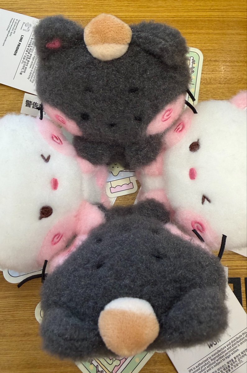 yuuzzoa's tweet photo. 엔시티위시 팝업 미친거 뒤돌아서면 하고 뒤돌아서면 함 
버블냥 없어서 못 샀어요 ...... https://t.co/2zeq5rX7nx