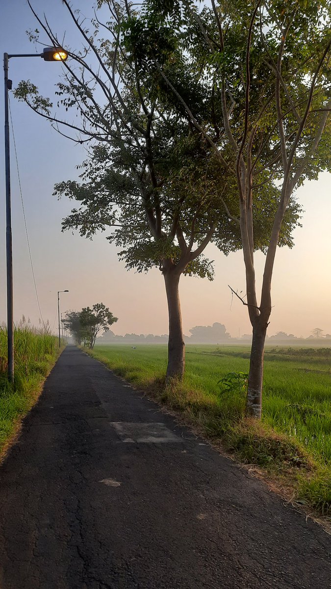 rosecoldbrew_'s tweet photo. Motoran pagi-pagi demi menyegarkan mata. Masih sekitaran rumah, tinggal di kabupaten tapi masih deket kota 🌿 https://t.co/4FUzzqlnIQ