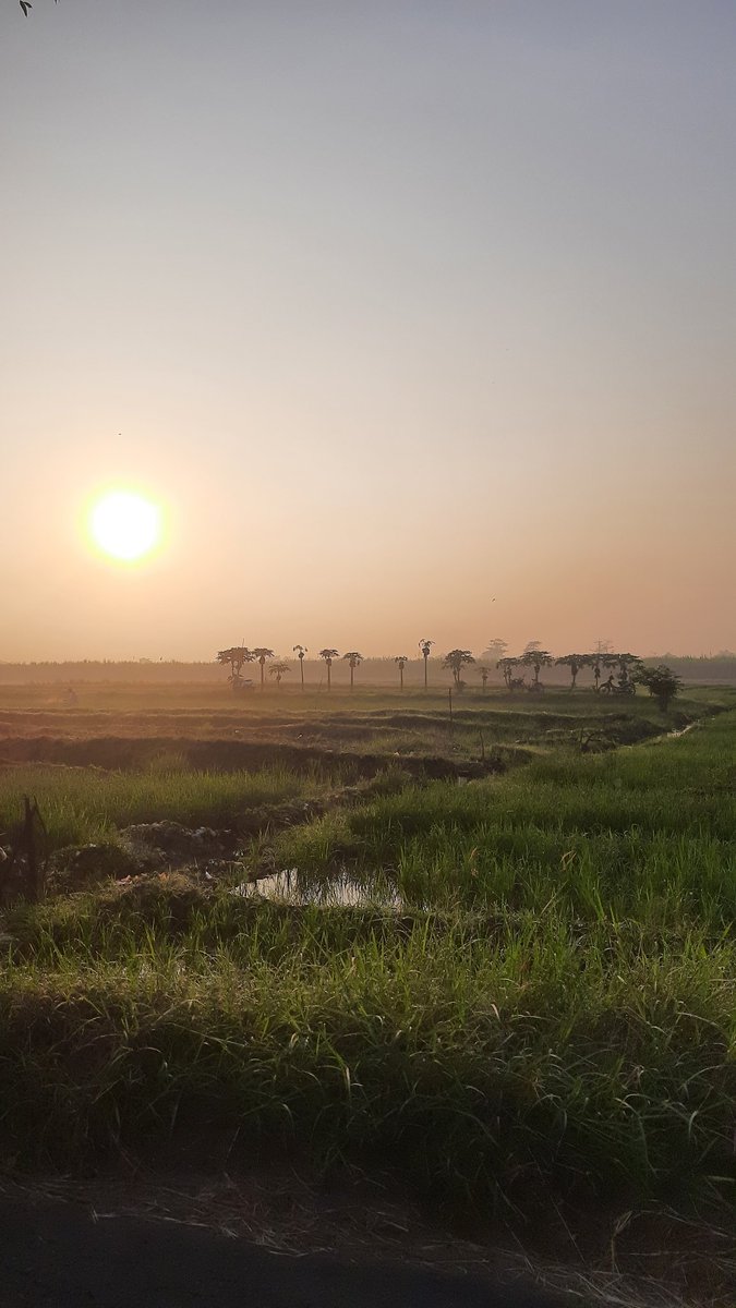 rosecoldbrew_'s tweet photo. Motoran pagi-pagi demi menyegarkan mata. Masih sekitaran rumah, tinggal di kabupaten tapi masih deket kota 🌿 https://t.co/4FUzzqlnIQ