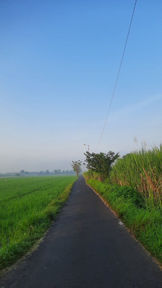rosecoldbrew_'s tweet photo. Motoran pagi-pagi demi menyegarkan mata. Masih sekitaran rumah, tinggal di kabupaten tapi masih deket kota 🌿 https://t.co/4FUzzqlnIQ