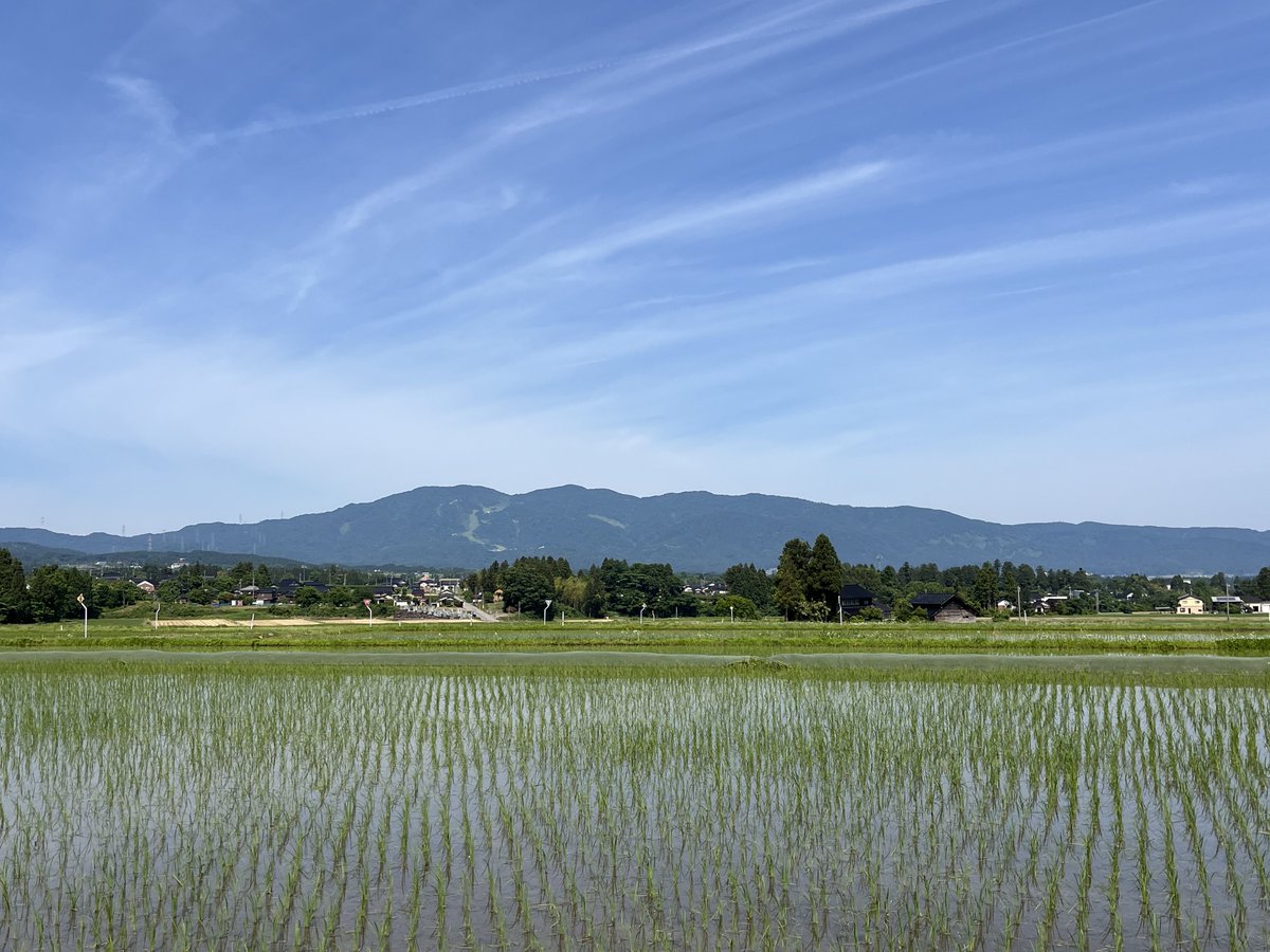 sy10153's tweet photo. おはようございます。😃
6/1富山(西部南)は北の弱風で晴れてます。☀️
今日も実家でネギ、落花生苗の植え付けなので山の様子は稲苗育つ田んぼと医王山です。😁
今日の画像は2004/04/25馬場島を後にして早月川左岸からの剱岳・早月尾根・小窓尾根です。😆
#マイあさ https://t.co/2PIODUQvTX