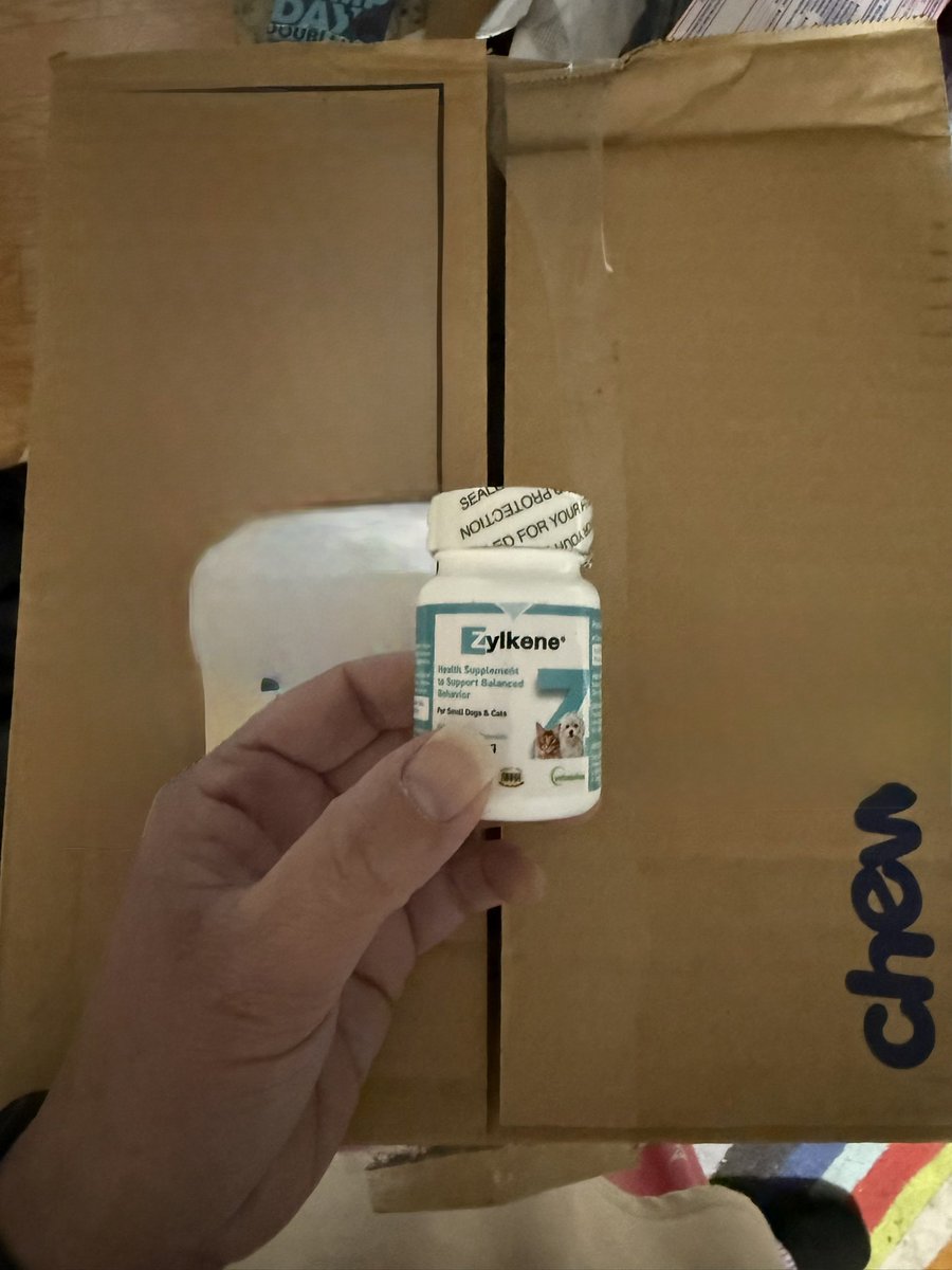 flmmkr's tweet photo. @Chewy was it necessary to ship
This little bottle in a huge box? Literally nothing but this bottle in the box.  So wasteful. Do better. #dobetter #recycle #earth https://t.co/Gkcpw4Ivtq