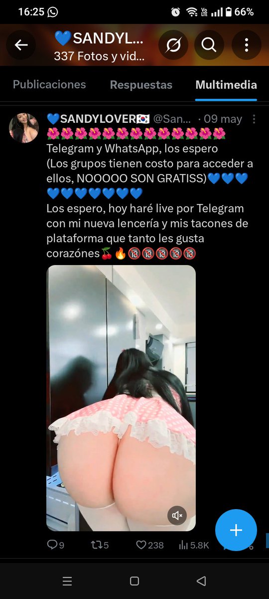 Ass_Hunter2's tweet photo. @scarfacee13 que pedo mi tibio, ya viste que el perfil de SANDY_LOVER45 Es falso?? Usa fotos de @chim0twins @arelymont18 https://t.co/rYmyHl8Bx6