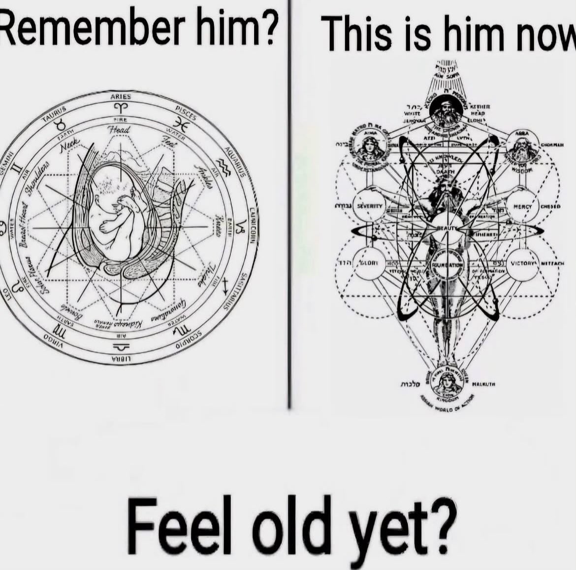 decimuzx's tweet photo. Remember this innocent soul?
Just a fetus in the zodiac wheel.

Crypto turns babies into ancient wizards.

And now this is you after one bull run

“Feel old yet?” 💀

$HYPE https://t.co/FsCf9VJMYH