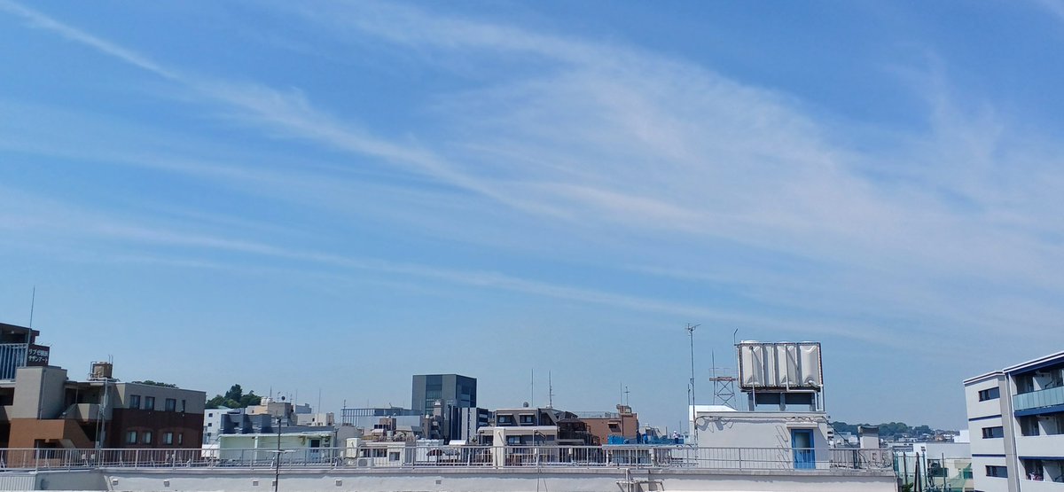 Marca_Scarf's tweet photo. おはようございます。
横浜市南区、今の天気は『晴れ』☀️
6月1日、月初めの月曜日ですね。

6月1日は #写真の日 です。
気象記念日、牛乳の日、いぐさの日でもありますね。

本日もよろしくお願いします。
#企業公式が毎朝地元の天気を言い合う
#イマソラ https://t.co/lcXGeUPPFV