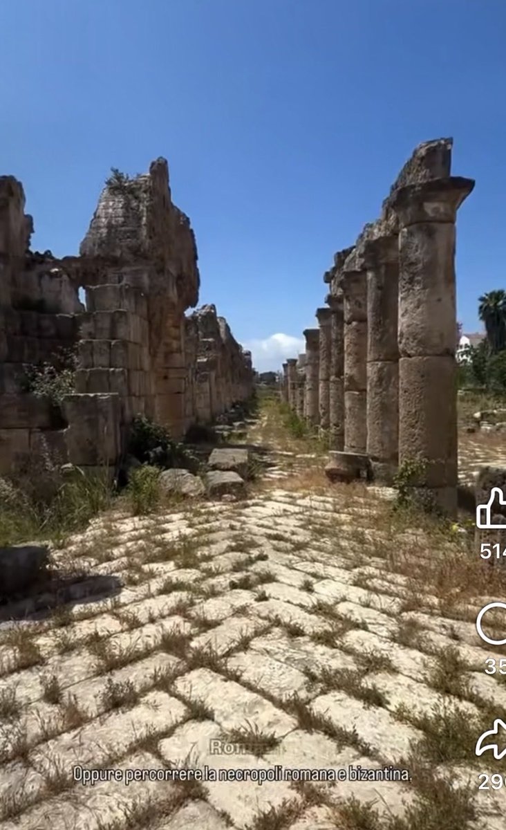 eliasymaroun's tweet photo. Save Tyre. Save Humanity’s Heritage from the Israeli Military Attack and invasion!!

Tyre is not just another city in South Lebanon. It is not merely an archaeological site that can be rebuilt or replaced. Tyre is one of the oldest continuously inhabited cities in the world and one of the greatest centers of the Phoenician civilization that carried trade, culture, and the alphabet across the Mediterranean and beyond.

From its ancient harbors, Phoenician sailors reached distant shores. From its shores, civilizations flourished. Greeks, Romans, Byzantines, Arabs, and countless others left their mark on this remarkable city. Its Roman roads, triumphal arches, necropolis, and archaeological treasures stand today as witnesses to thousands of years of human history.

Today, Tyre—a city older than Rome itself—faces the threat of destruction, displacement, and conflict. What is at risk is not only stone and monuments, but a priceless chapter of humanity’s shared heritage.

An attack on Tyre is not merely an attack on a Lebanese city. It is an attack on the collective memory of civilization and on one of the world’s most important cultural and historical treasures.

I call upon the United Nations, UNESCO, the United States, the European Union, and all international organizations dedicated to preserving human heritage to act immediately to protect the city of Tyre, its people, and its historic sites.

If the world remains silent today, we may lose a city that survived empires, invasions, and centuries of history—but may not survive the destruction of modern warfare.

Save Tyre. Before it is too late.

#SaveTyre
#TyreLebanon
#ProtectHistory
#WorldHeritage
#UNESCO
#Lebanon
#SaveLebanon

Dr. Elias Maroun
American Lebanon Council

Facebook Mentions
@followers
@highlight
President Donald J. Trump
Lebanese Presidency
U.S. Department of State
Vatican News
U.S. Embassy Beirut
Michel Issa
UNESCO
