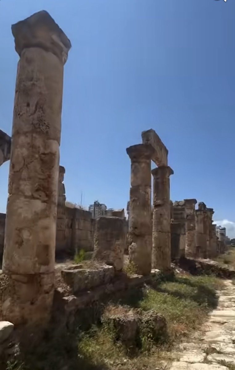 eliasymaroun's tweet photo. Save Tyre. Save Humanity’s Heritage from the Israeli Military Attack and invasion!!

Tyre is not just another city in South Lebanon. It is not merely an archaeological site that can be rebuilt or replaced. Tyre is one of the oldest continuously inhabited cities in the world and one of the greatest centers of the Phoenician civilization that carried trade, culture, and the alphabet across the Mediterranean and beyond.

From its ancient harbors, Phoenician sailors reached distant shores. From its shores, civilizations flourished. Greeks, Romans, Byzantines, Arabs, and countless others left their mark on this remarkable city. Its Roman roads, triumphal arches, necropolis, and archaeological treasures stand today as witnesses to thousands of years of human history.

Today, Tyre—a city older than Rome itself—faces the threat of destruction, displacement, and conflict. What is at risk is not only stone and monuments, but a priceless chapter of humanity’s shared heritage.

An attack on Tyre is not merely an attack on a Lebanese city. It is an attack on the collective memory of civilization and on one of the world’s most important cultural and historical treasures.

I call upon the United Nations, UNESCO, the United States, the European Union, and all international organizations dedicated to preserving human heritage to act immediately to protect the city of Tyre, its people, and its historic sites.

If the world remains silent today, we may lose a city that survived empires, invasions, and centuries of history—but may not survive the destruction of modern warfare.

Save Tyre. Before it is too late.

#SaveTyre
#TyreLebanon
#ProtectHistory
#WorldHeritage
#UNESCO
#Lebanon
#SaveLebanon

Dr. Elias Maroun
American Lebanon Council

Facebook Mentions
@followers
@highlight
President Donald J. Trump
Lebanese Presidency
U.S. Department of State
Vatican News
U.S. Embassy Beirut
Michel Issa
UNESCO