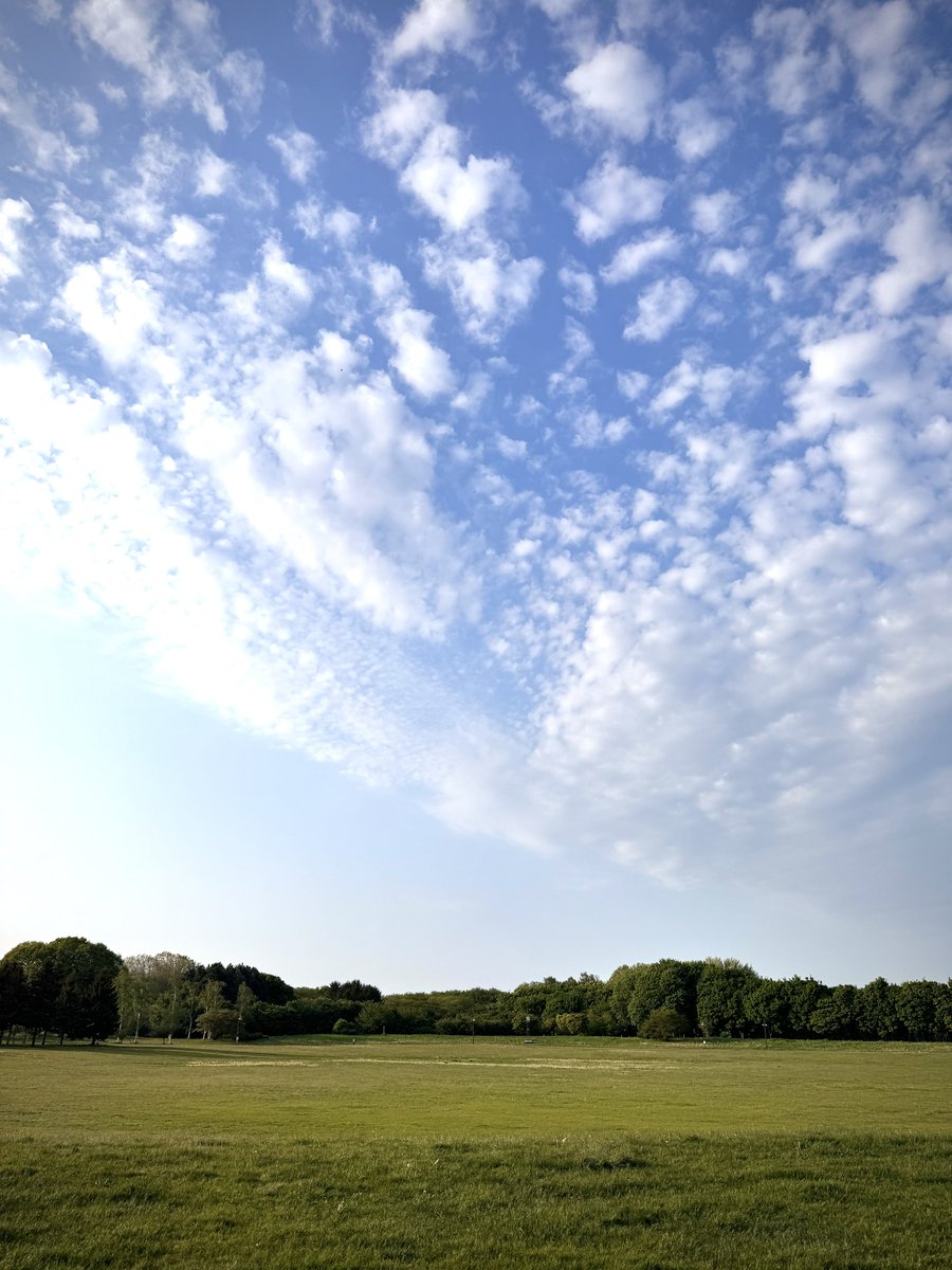hinahari2002's tweet photo. 今日は気持ちいいお天気になりそうですねー！短い夏ですが、フルスイングで遊びましょう。
今時期は冷たい飲み物やアイスに気をつけて。まだ冷えが体の中に残っていると、様々な症状が出てきやすいです。最後に温かいものを飲みましょう。#東洋医学  #鍼灸 #漢方  #宮の沢  #お灸 #札幌 #北海道 https://t.co/6ospxtpZku