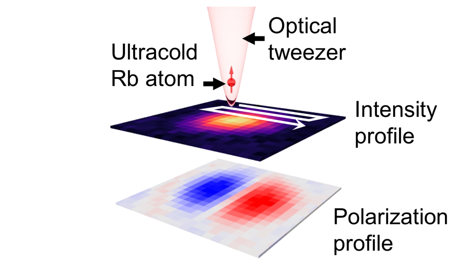 ims_I_office's tweet photo. Using a Single Atom as a “Camera”  - Visualization of Light Intensity and Polarization beyond the Resolution Limit of Optical Microscopes -   (Ohmori Group)
https://t.co/mIgWlJDL1l https://t.co/550bAk0gyh