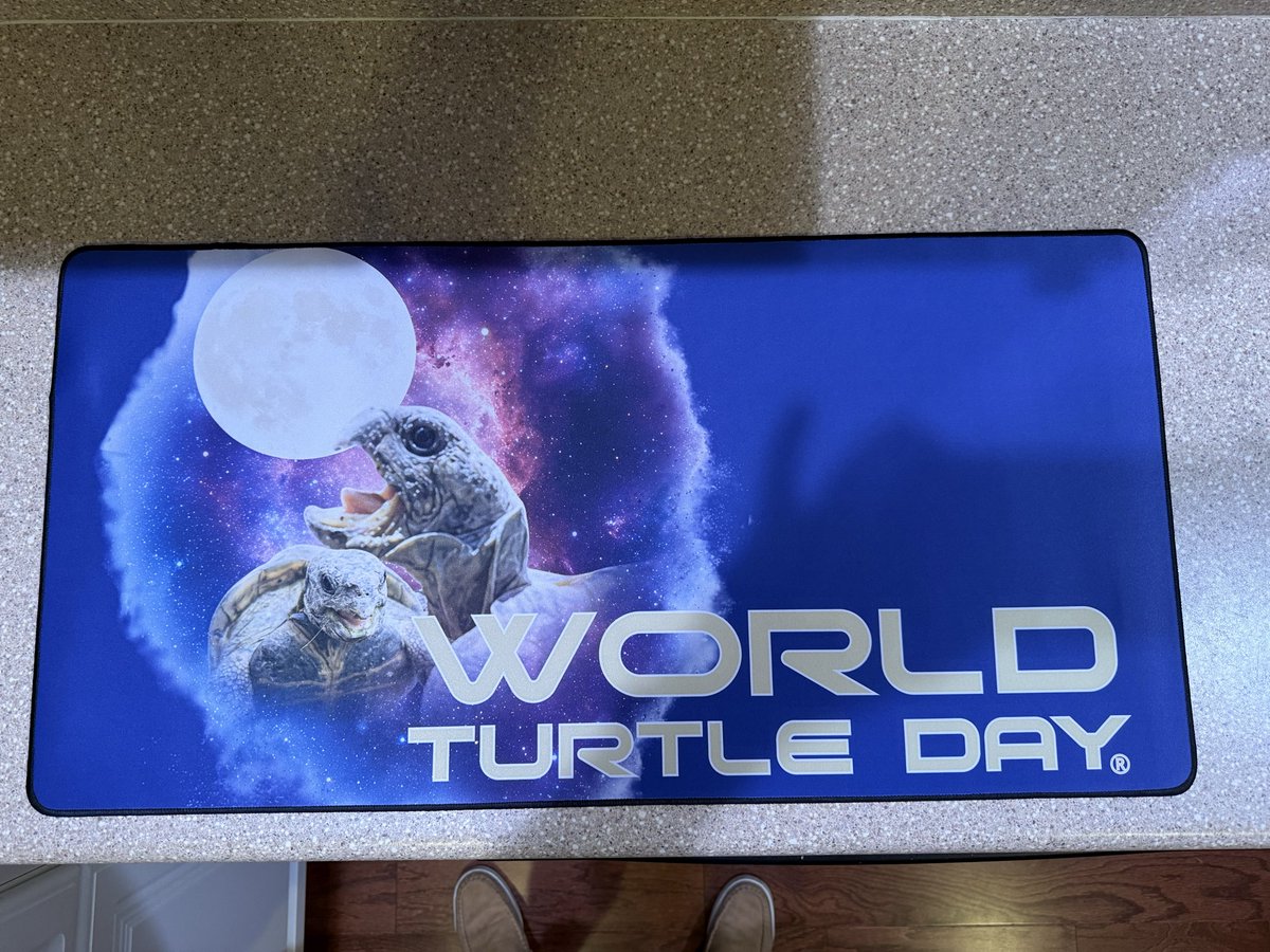 BrainlessDoor's tweet photo. Thanks again! Lmao I love it! 

@WorldTurtleDay https://t.co/YhDf97T3A8