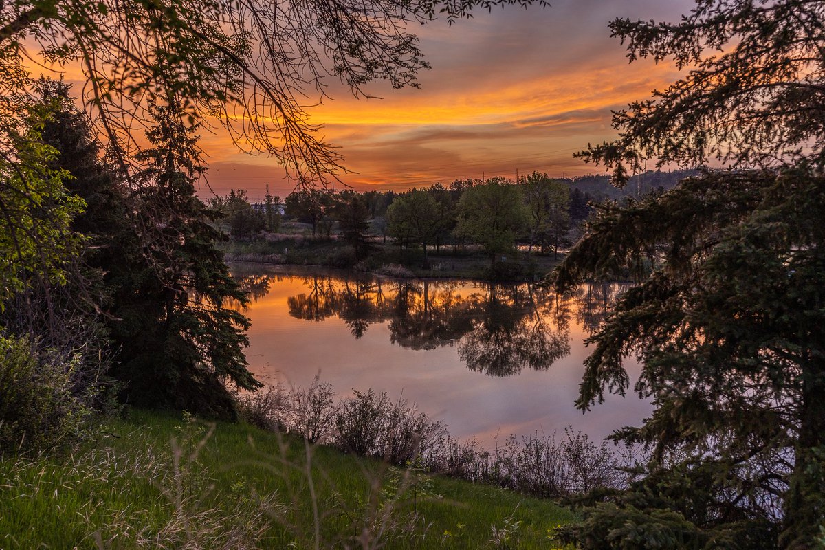 kmoorephotos's tweet photo. Sunrise at Hermitage Park from Friday morning! https://t.co/nGnb6u0NQ3