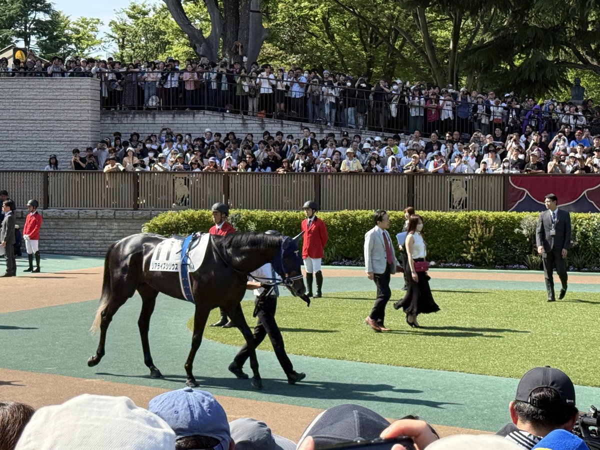 KNBIK2's tweet photo. リアライズシリウスお疲れ様やで。みんなダービー無事完走してよかった。
お疲れ様やで。 https://t.co/0tiGOsQgsI