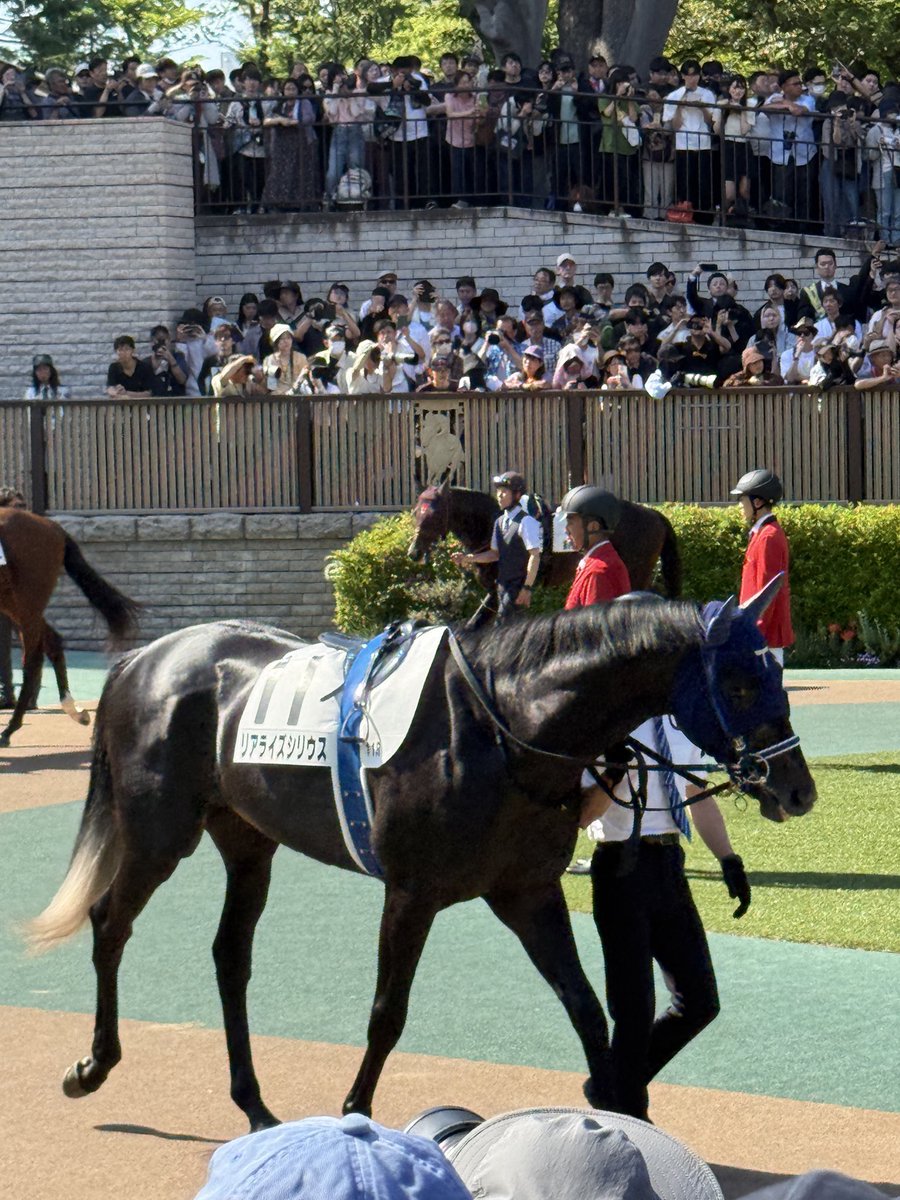 KNBIK2's tweet photo. リアライズシリウスお疲れ様やで。みんなダービー無事完走してよかった。
お疲れ様やで。 https://t.co/0tiGOsQgsI