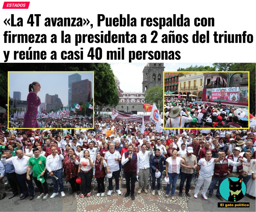El gato político tweet media