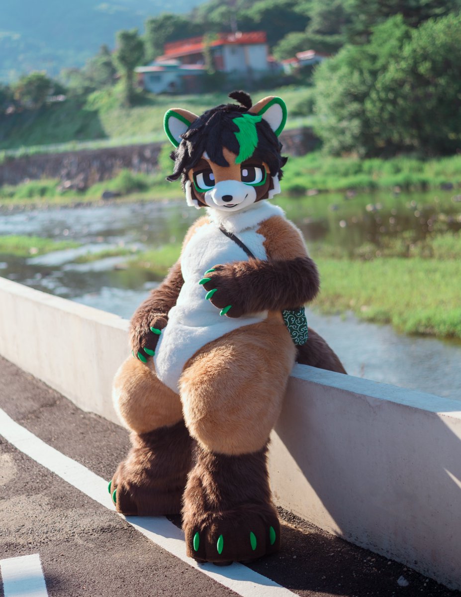 DonDon_Fur's tweet photo. #Fursuit

Raccoon!

🦝: @tanuki_Matcha https://t.co/yQ7seHqWgP