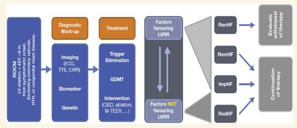 carlosguizars's tweet photo. 🚨Recent-onset cardiomyopathy?
New HFA-ESC practical guideline of how to evaluate and manage it ❗️
Two prognostic axes: the potential for LV reverse remodeling &amp; risk o SCD
@MarcoMetra @WilfriedMullens @AmrAbdin10 @GMCRosano @GianluSava @ppponikowski 
https://t.co/NvlarnYVMQ https://t.co/oQaxMMGwdF