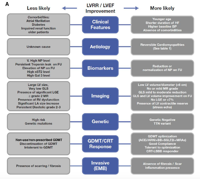 carlosguizars's tweet photo. 🚨Recent-onset cardiomyopathy?
New HFA-ESC practical guideline of how to evaluate and manage it ❗️
Two prognostic axes: the potential for LV reverse remodeling &amp; risk o SCD
@MarcoMetra @WilfriedMullens @AmrAbdin10 @GMCRosano @GianluSava @ppponikowski 
https://t.co/NvlarnYVMQ https://t.co/oQaxMMGwdF