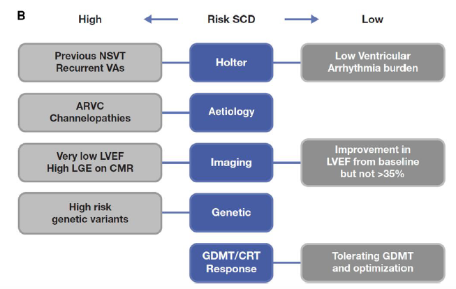 carlosguizars's tweet photo. 🚨Recent-onset cardiomyopathy?
New HFA-ESC practical guideline of how to evaluate and manage it ❗️
Two prognostic axes: the potential for LV reverse remodeling &amp; risk o SCD
@MarcoMetra @WilfriedMullens @AmrAbdin10 @GMCRosano @GianluSava @ppponikowski 
https://t.co/NvlarnYVMQ https://t.co/oQaxMMGwdF