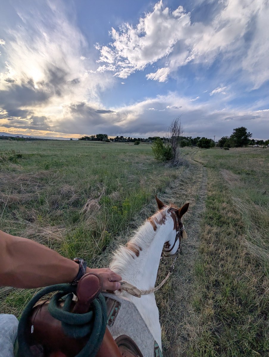 TheDizziest's tweet photo. 🐴 https://t.co/cZ37Qx37av