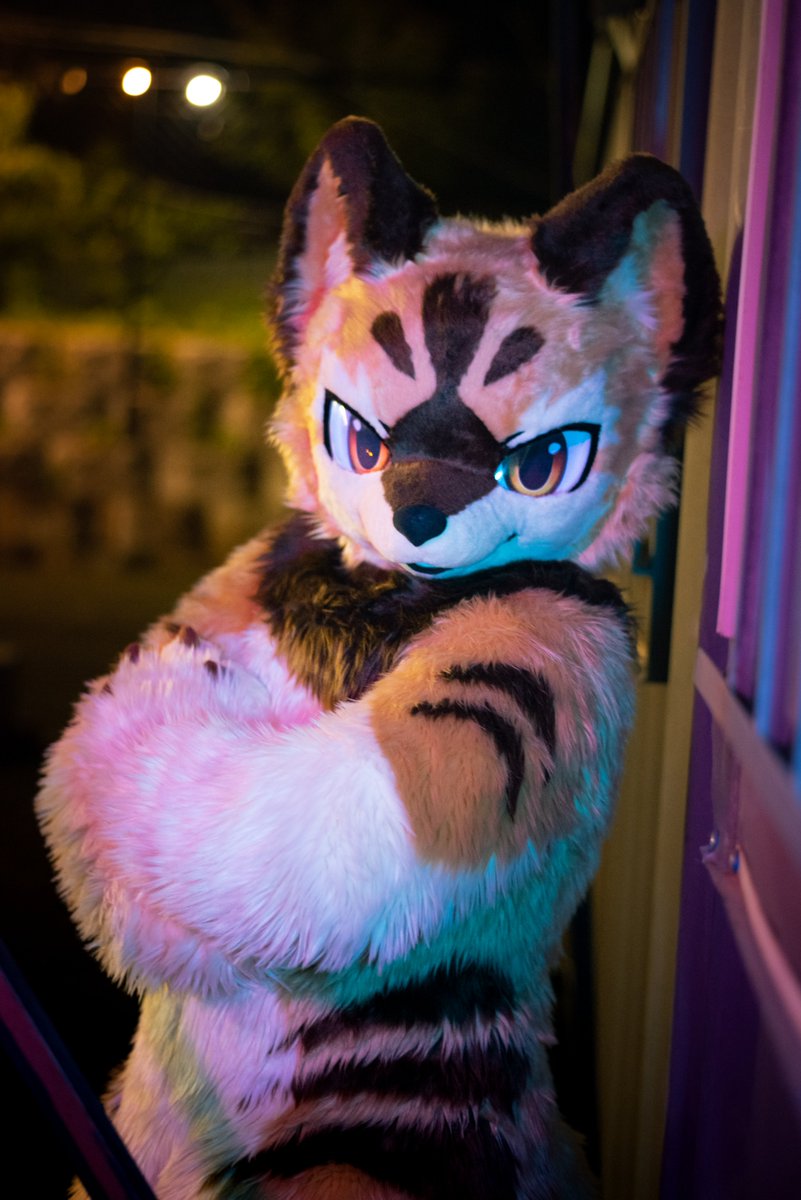 DonDon_Fur's tweet photo. #Fursuit

✨✨

🐺: @Blazewolf_Kou https://t.co/4EK6N3DuXQ