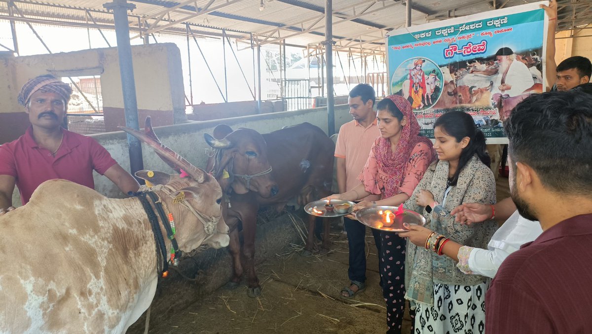 AshramBlr's tweet photo. Sant Shri Asharamji Bapu #Ashram Trust in #Bengaluru organized #GauGrass Seva program at Gaushala Koramangla, #Bangalore on 30th May, 2026 with a motive to serve cows who serve us in various ways.

Let’s serve, protect &amp; honor Gau Mata. 

🌐Seva Post-https://t.co/jozUf3Gm6C https://t.co/f0G06TvMh5