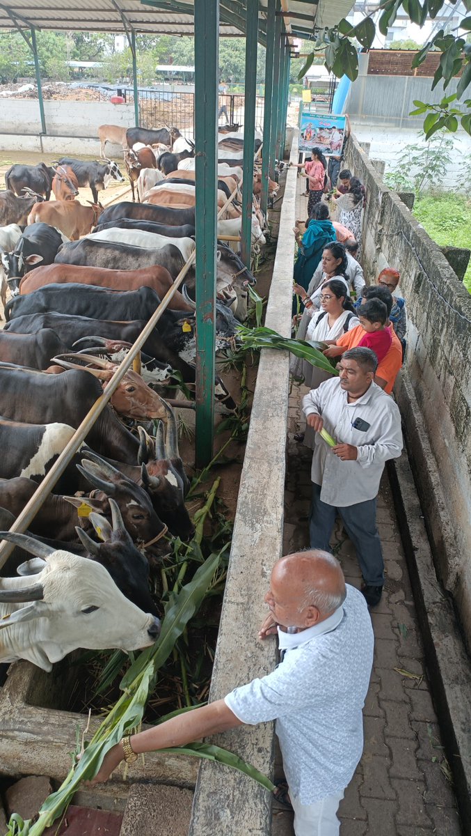 AshramBlr's tweet photo. Sant Shri Asharamji Bapu #Ashram Trust in #Bengaluru organized #GauGrass Seva program at Gaushala Koramangla, #Bangalore on 30th May, 2026 with a motive to serve cows who serve us in various ways.

Let’s serve, protect &amp; honor Gau Mata. 

🌐Seva Post-https://t.co/jozUf3Gm6C https://t.co/f0G06TvMh5