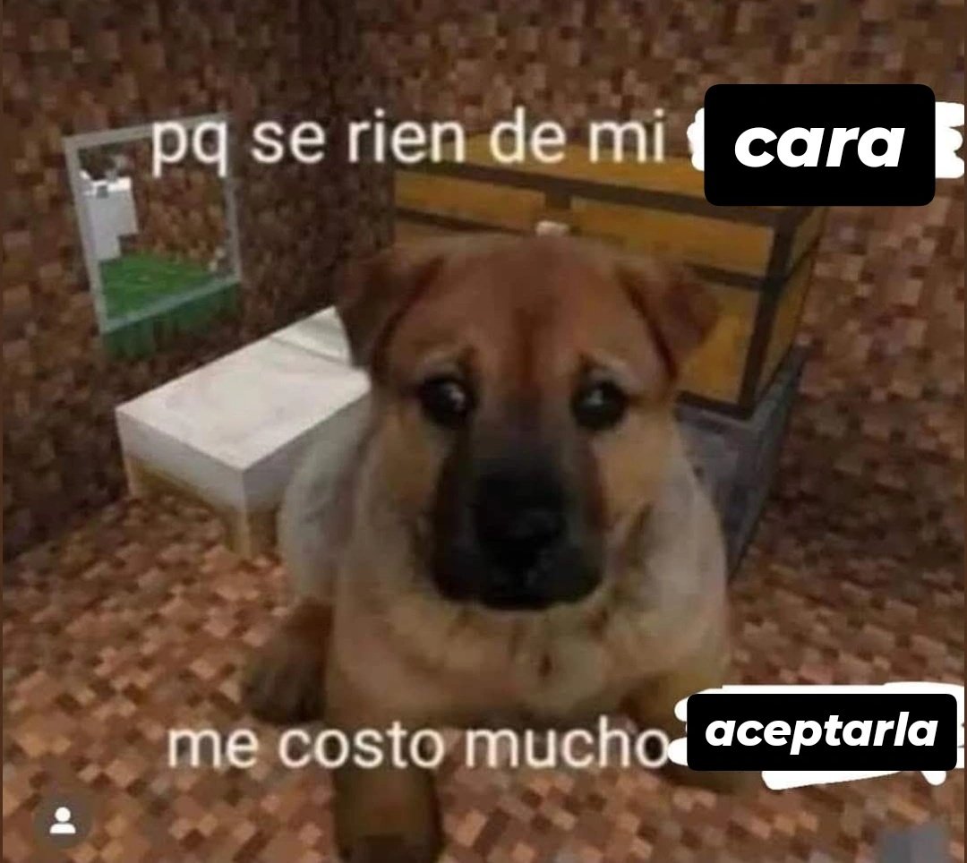 ale sobrevivió a tocorón tweet media