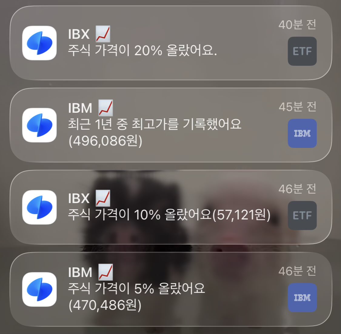 기니 tweet media