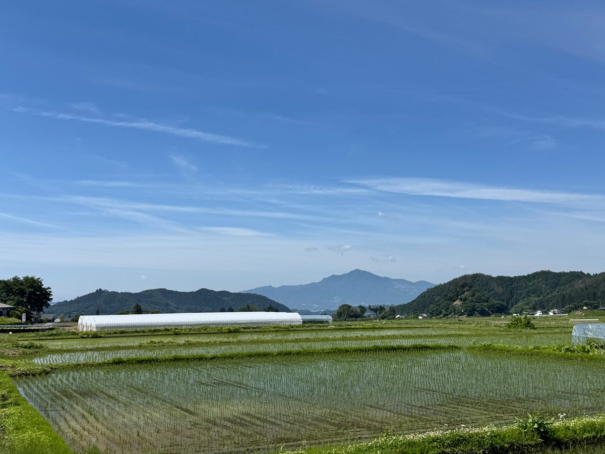 yutorian's tweet photo. 今日から6月、スタートです。
今月もよろしくお願いします☀️ 

茅葺き屋根の古民家、水鏡の田んぼ—— 夏の気配がどんどん近づいてきています。

#日本の原風景 #夏が来る https://t.co/TORnqCFIrj