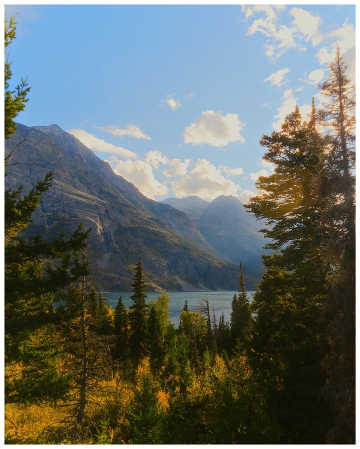 ISeeYouEar17848's tweet photo. summer in glacier national park📍🌼 https://t.co/R7WHncUFK7