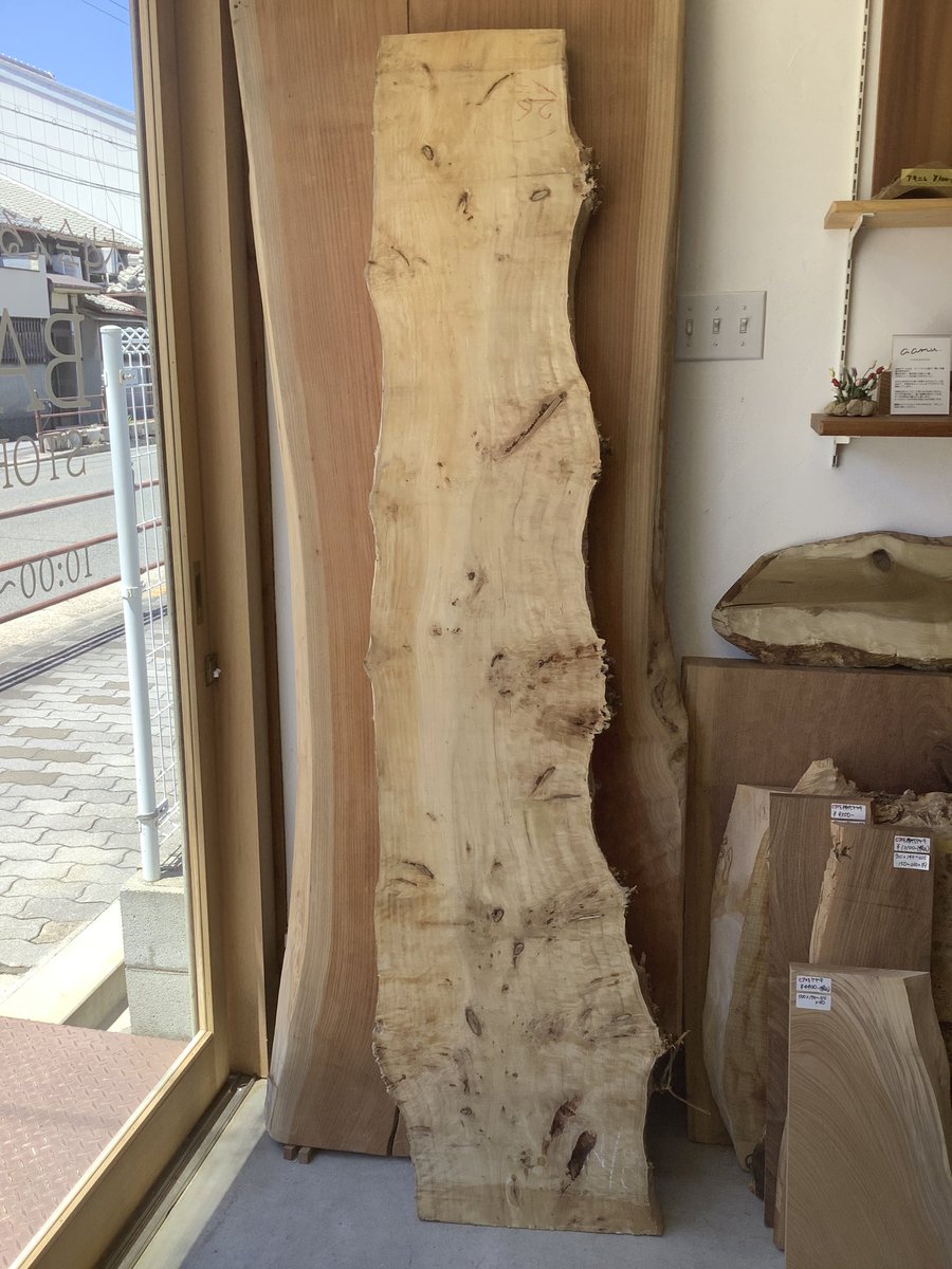 storage_base's tweet photo. 本日入荷のポプラのご紹介です。
コブや杢目の面白い、大きめの一枚です☺️
是非見にいらして下さい✨ https://t.co/3lalWISl8k