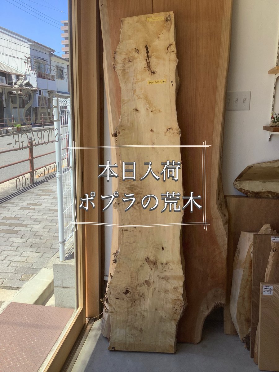 storage_base's tweet photo. 本日入荷のポプラのご紹介です。
コブや杢目の面白い、大きめの一枚です☺️
是非見にいらして下さい✨ https://t.co/3lalWISl8k