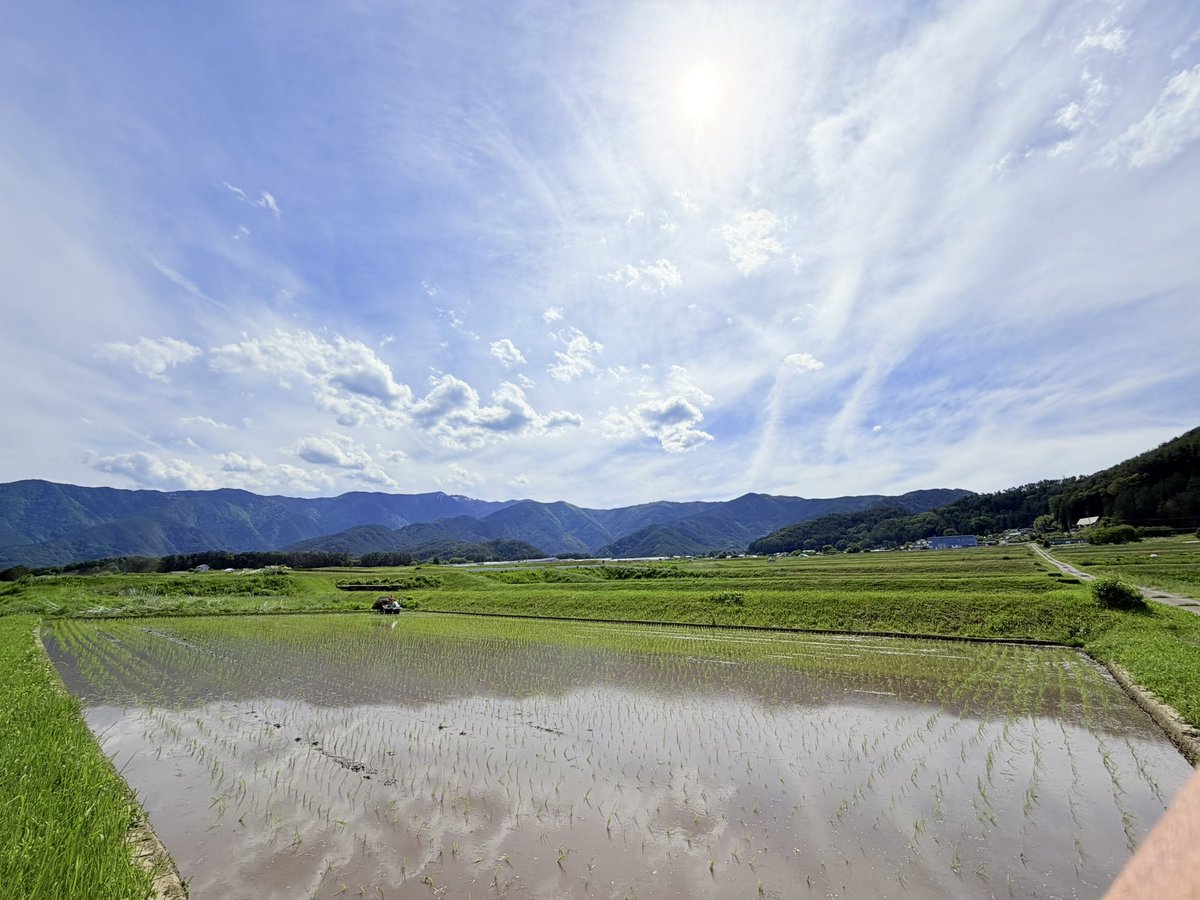 田植え2026をやりました。 個人的に、暮らしの土台をつくる実体のある