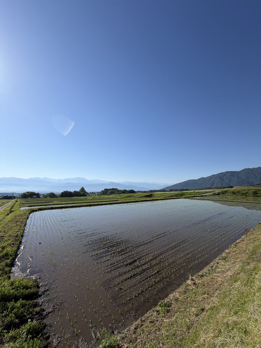 田植え2026をやりました。 個人的に、暮らしの土台をつくる実体のある