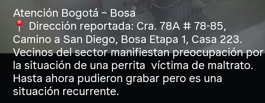 pablolealm's tweet photo. @LordUrmah @bosa_b7 @AnimalesBOG https://t.co/MGgpDu84FO