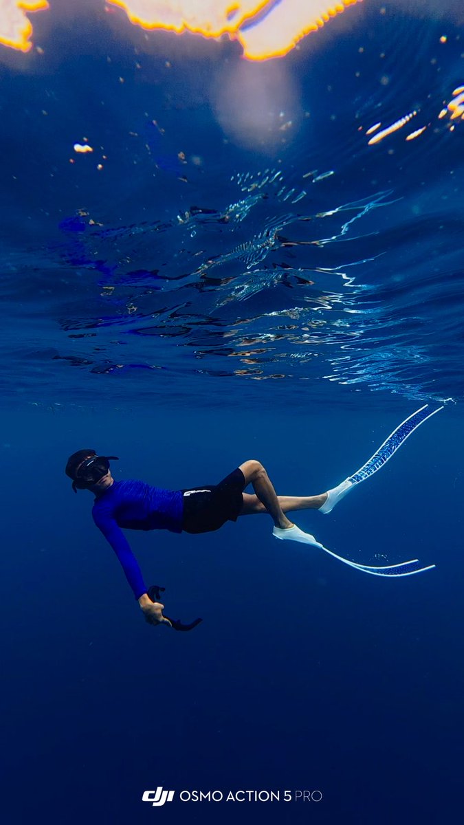 Nonitzz1's tweet photo. Underwater shots https://t.co/TAk5tA8erq