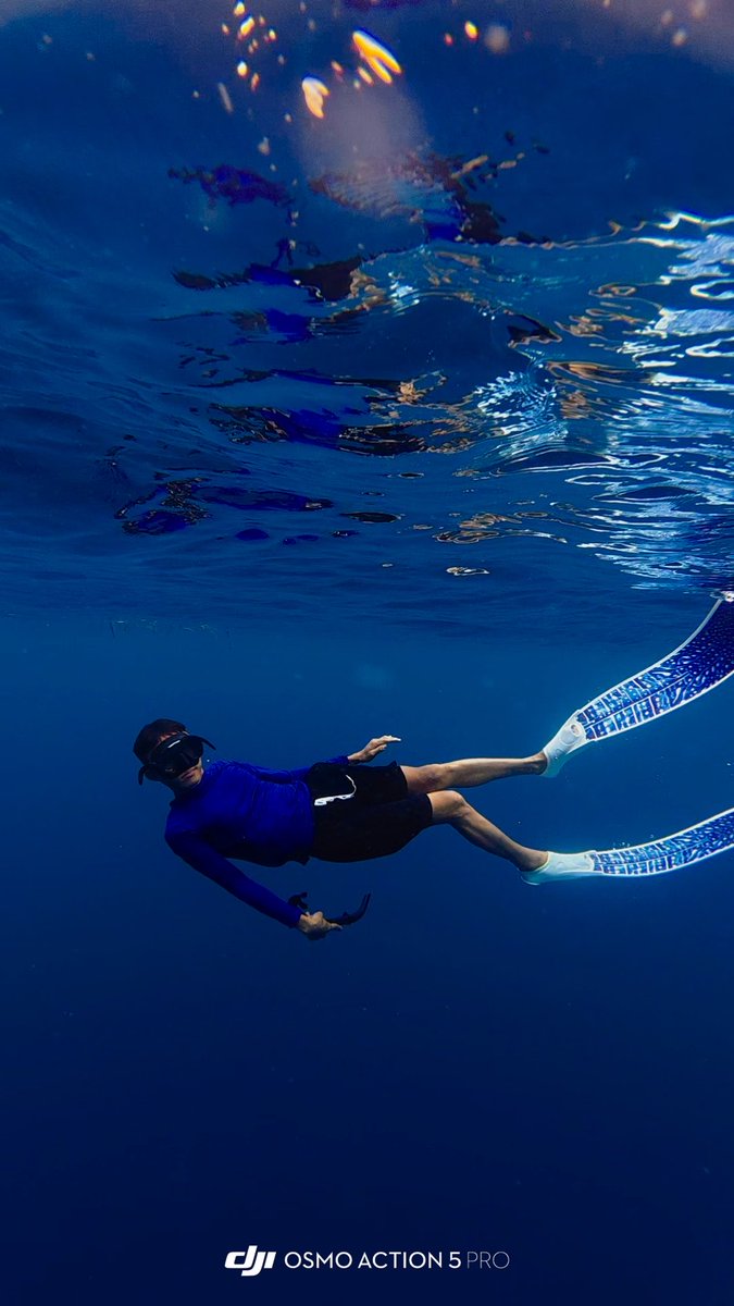 Nonitzz1's tweet photo. Underwater shots https://t.co/TAk5tA8erq