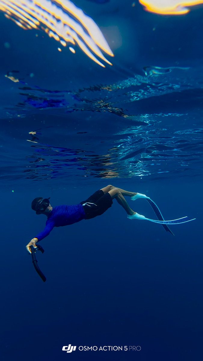 Nonitzz1's tweet photo. Underwater shots https://t.co/TAk5tA8erq